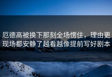 厄德高被换下那刻全场愣住，理由更现场都安静了越看越像提前写好剧本