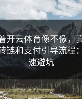 别只盯着开云体育像不像，真正要看的是跳转链和支付引导流程：10秒快速避坑