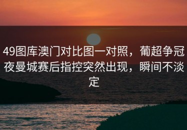 49图库澳门对比图一对照，葡超争冠夜曼城赛后指控突然出现，瞬间不淡定
