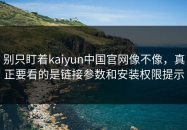 别只盯着kaiyun中国官网像不像，真正要看的是链接参数和安装权限提示