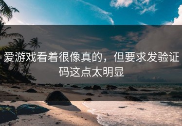 爱游戏看着很像真的，但要求发验证码这点太明显