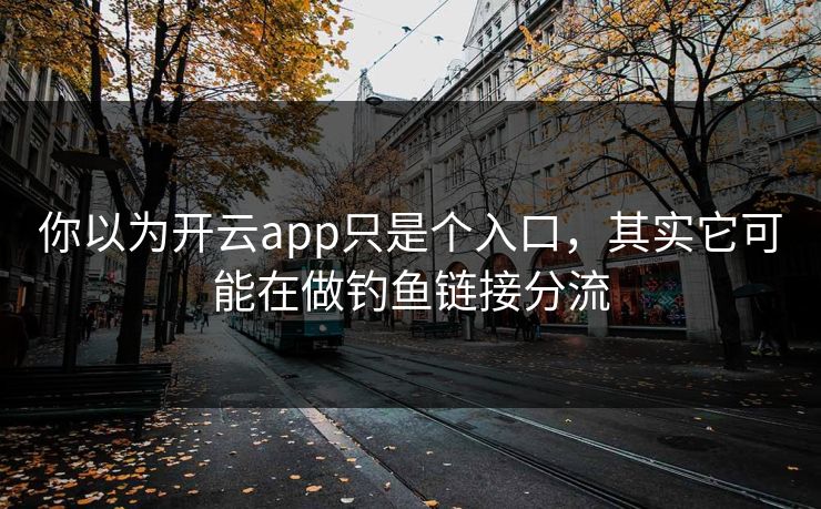你以为开云app只是个入口，其实它可能在做钓鱼链接分流