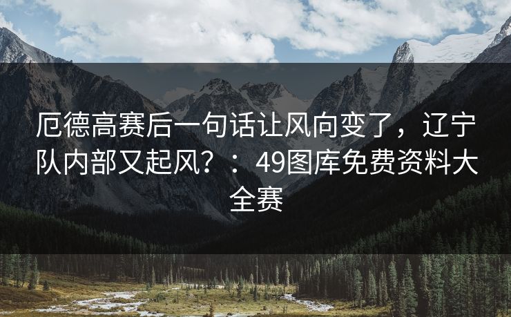 厄德高赛后一句话让风向变了，辽宁队内部又起风？：49图库免费资料大全赛