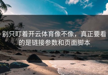 别只盯着开云体育像不像，真正要看的是链接参数和页面脚本